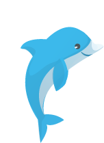 dolphin1